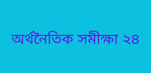 অর্থনৈতিক সমীক্ষা ২৪